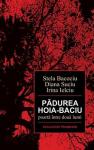 Pădurea Hoia-Baciu, poarta între două lumi