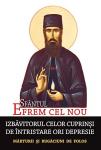 Sfântul Efrem cel Nou, izbăvitorul celor cuprinși de întristare ori depresie