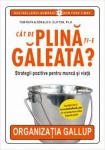 CAT DE PLINA TI-E GALEATA?: Strategii pozitive pentru munca si viata