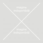 Imagine indisponibilă