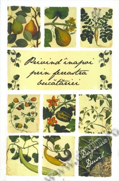 Privind înapoi prin fereastra bucătăriei